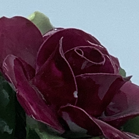 Aynsley England Hand Modeled and Painted Fine Bone China Flower Bouquet - Picture 12 of 15